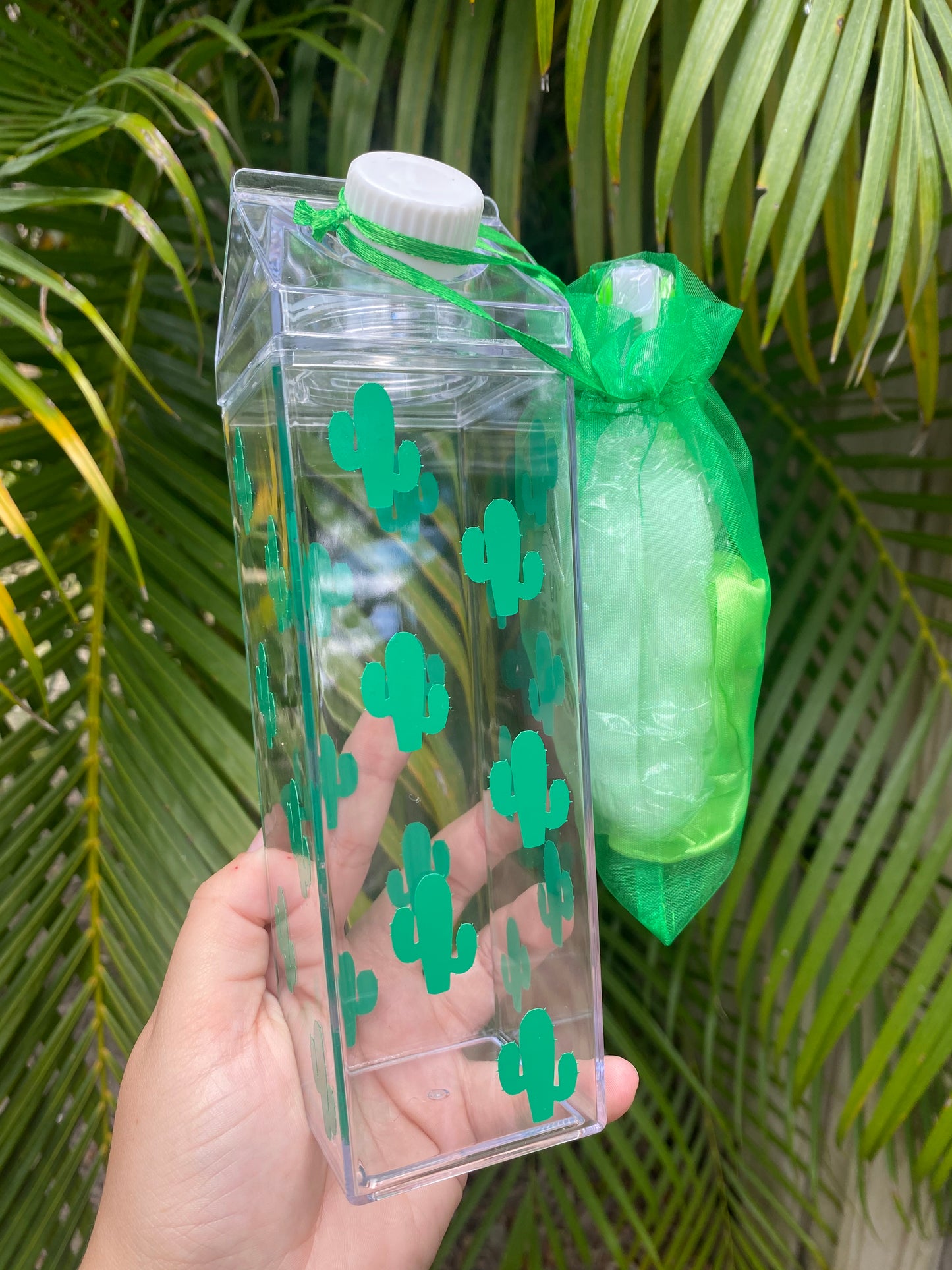 Custom Milk Carton Bottle Set