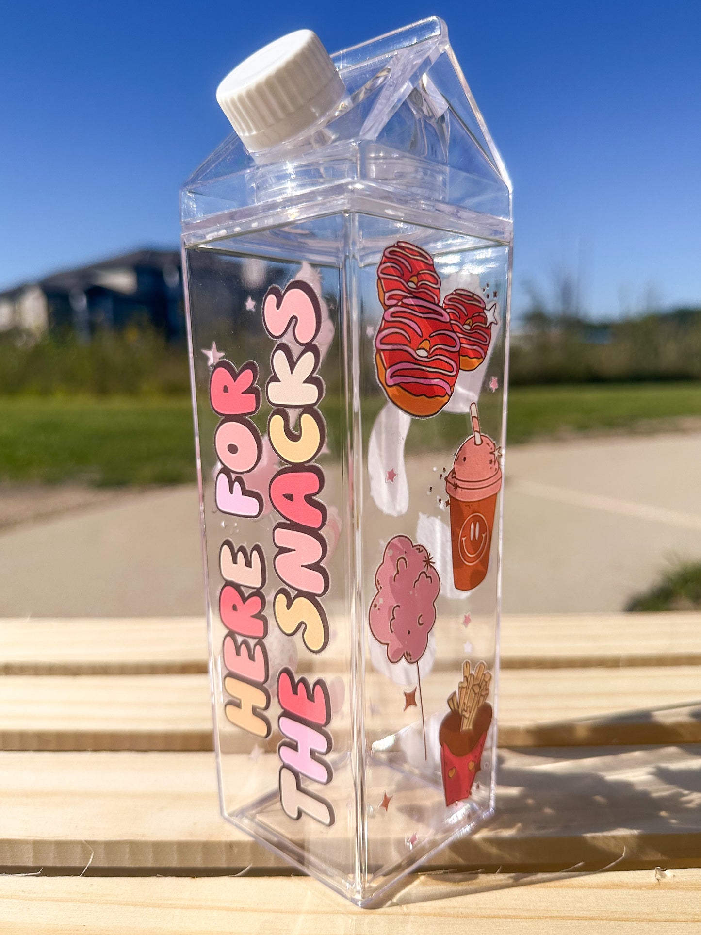 Snacks Milk Carton Bottle Set