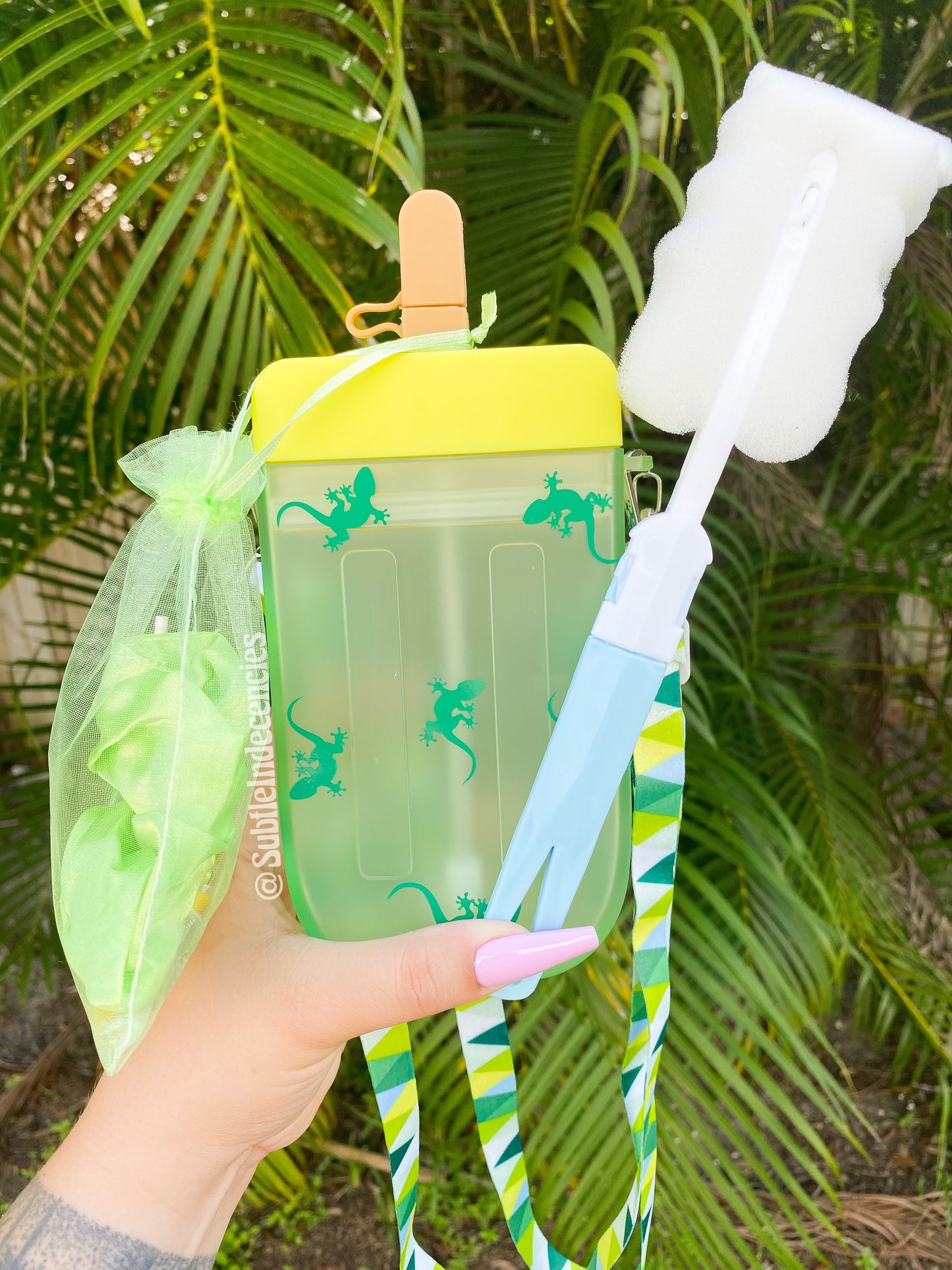 Green Lizard Popsicle Water Bottle Set
