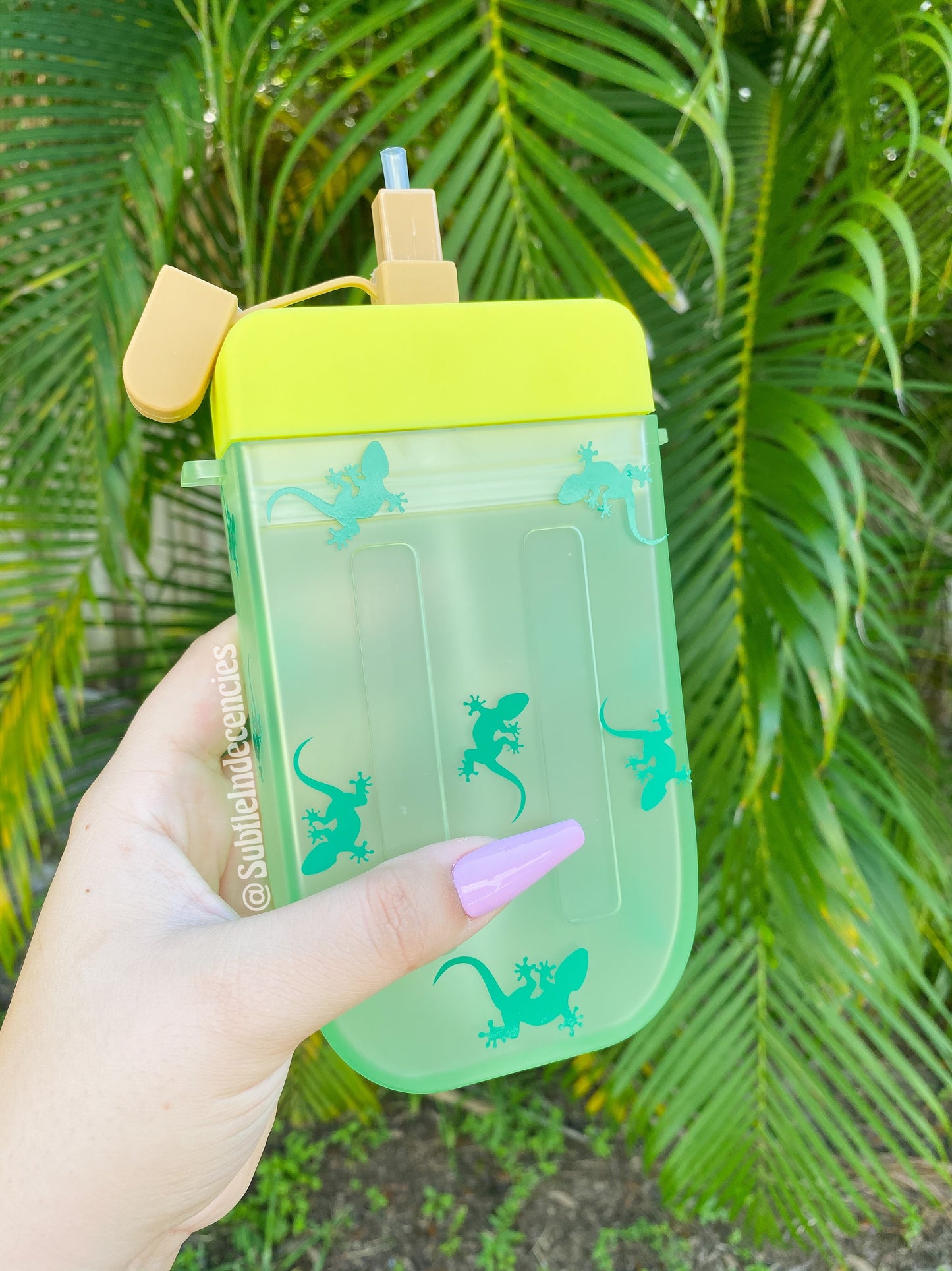 Green Lizard Popsicle Water Bottle Set