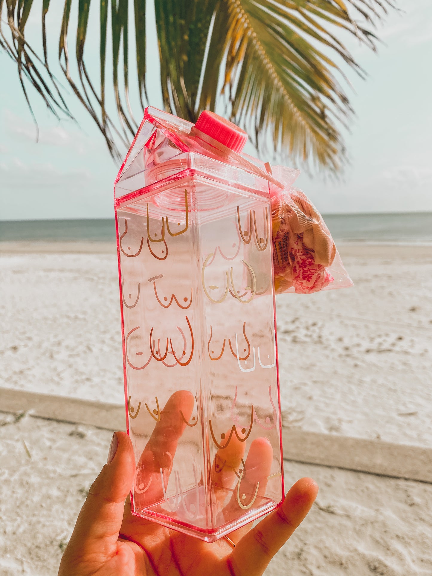 pink milk carton bottle with boobs drawn on