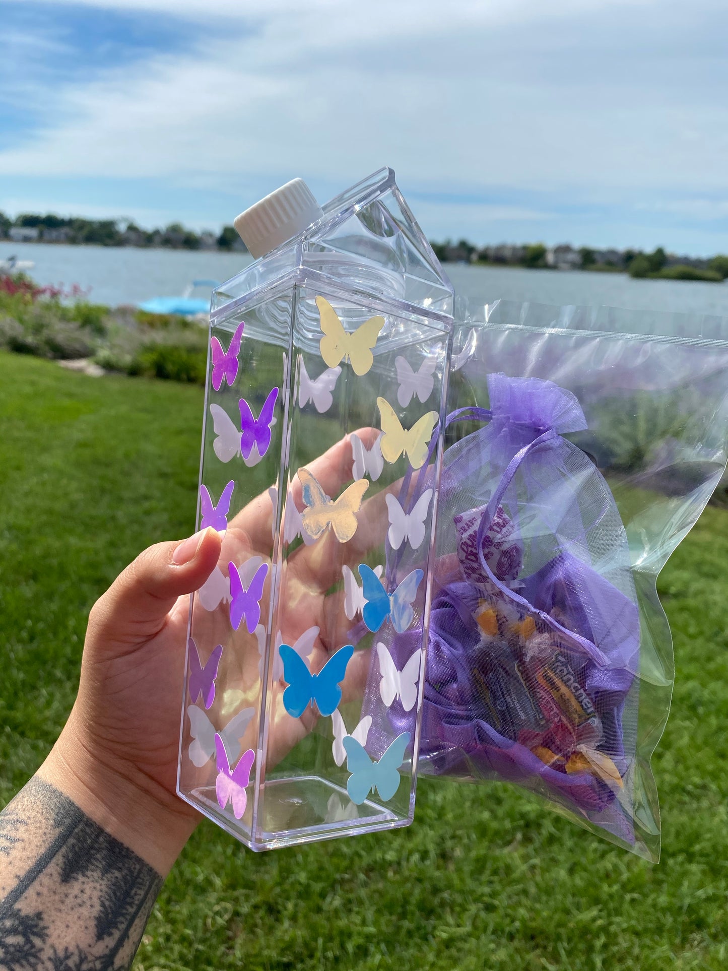 milk carton with holographic butterflies