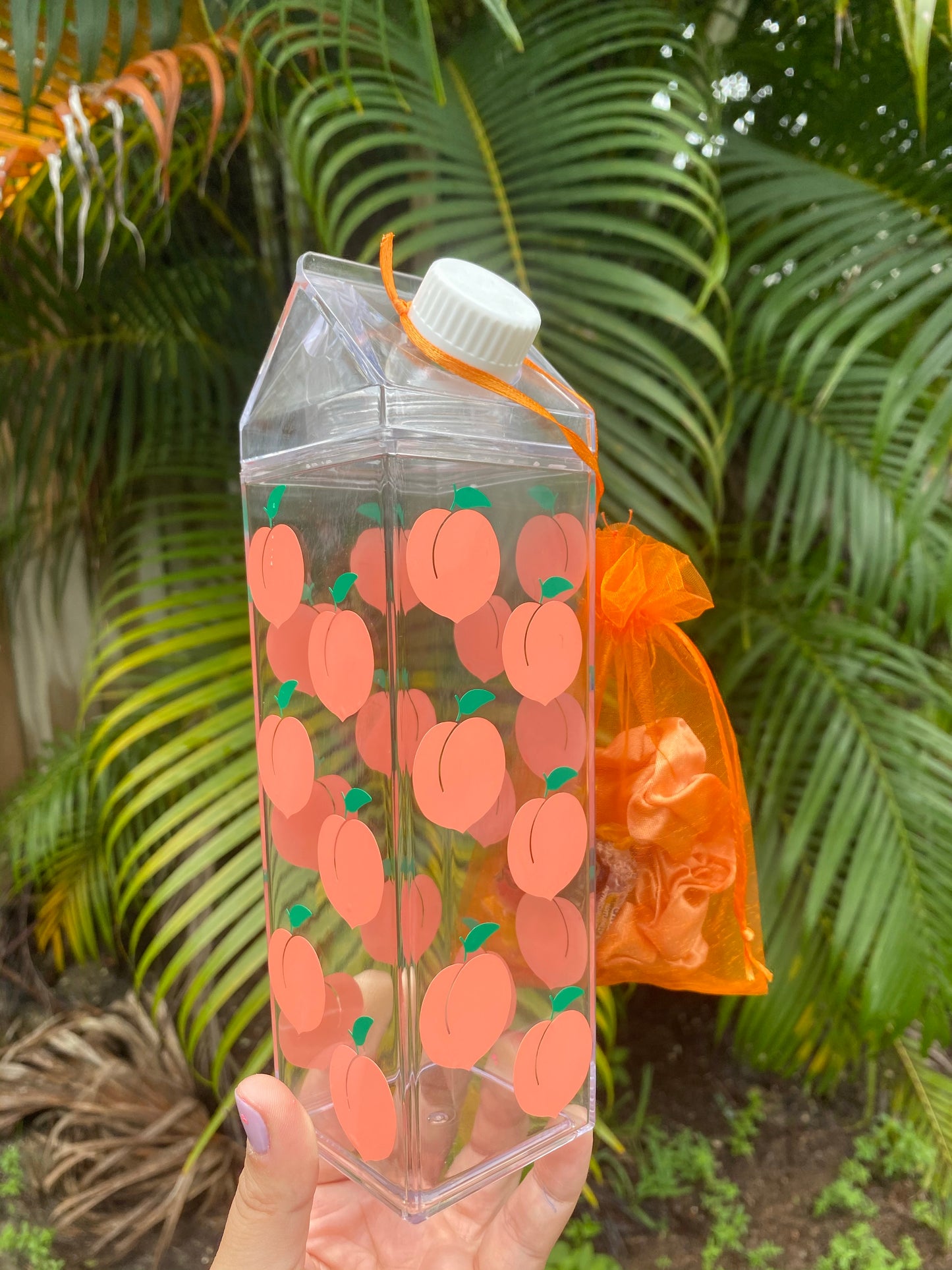 clear milk carton with green and peach peaches