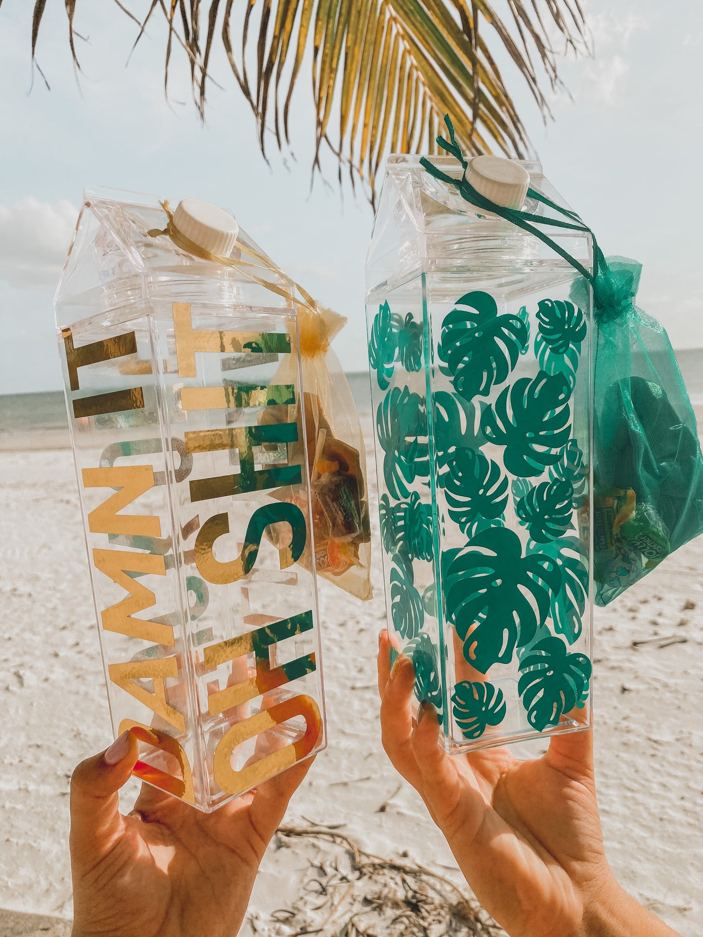 Green Monstera Jumbo Clear Milk Carton Bottle Set