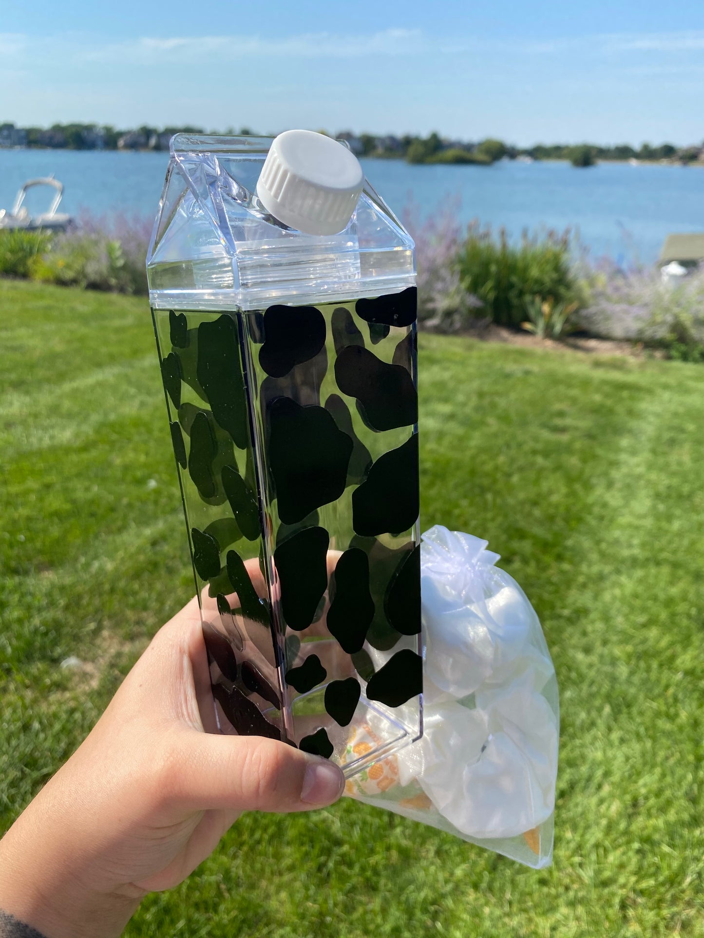 clear milk carton with black cow print