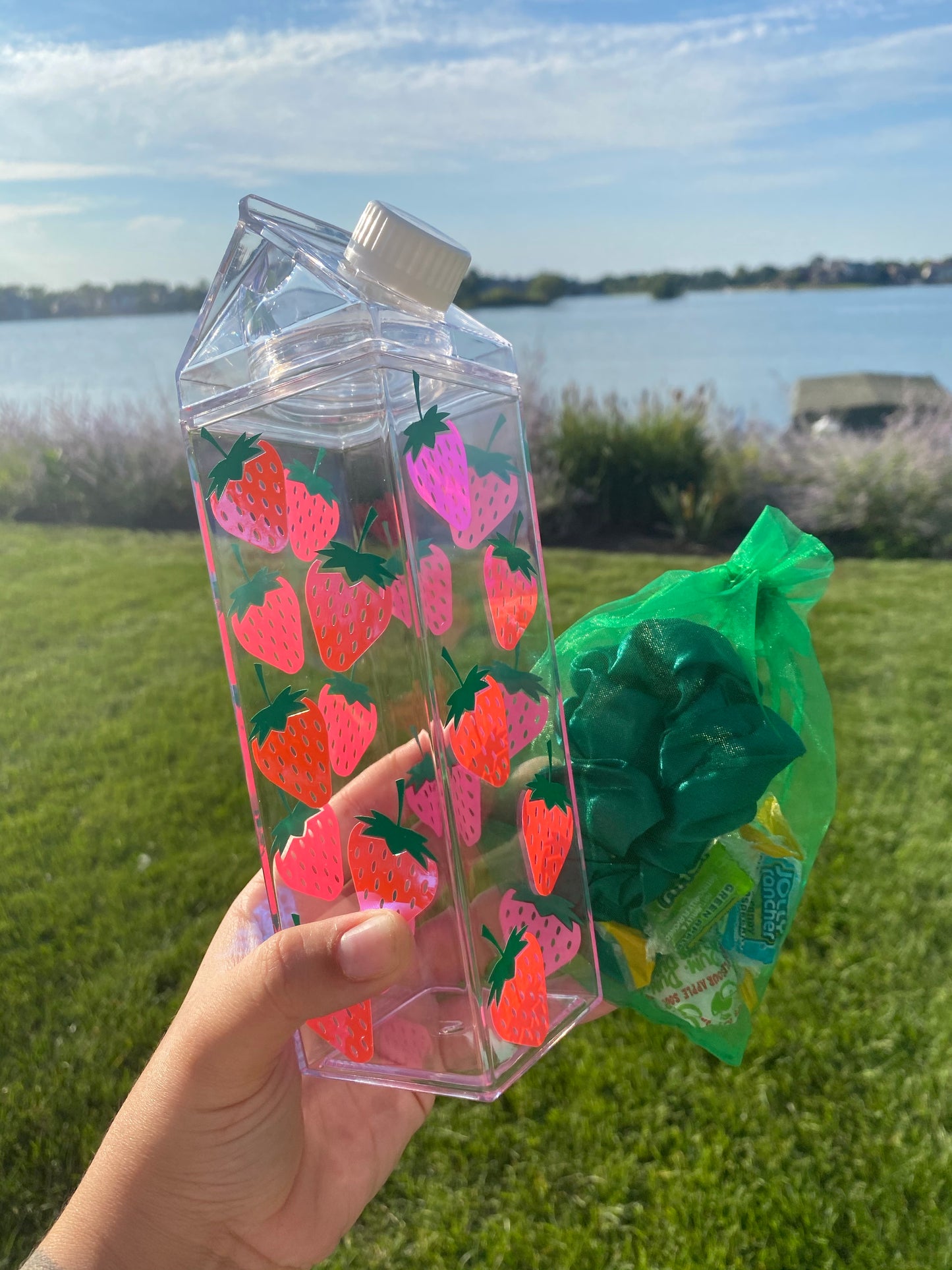 clear milk carton with green and holographic pink strawberries